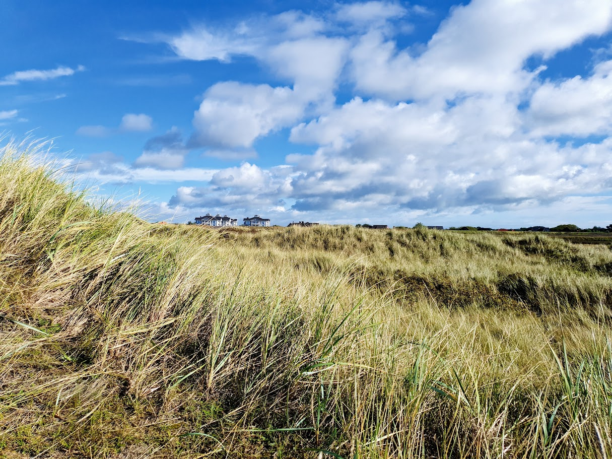 Duinlandschap met strandhuisjes aan de horizon