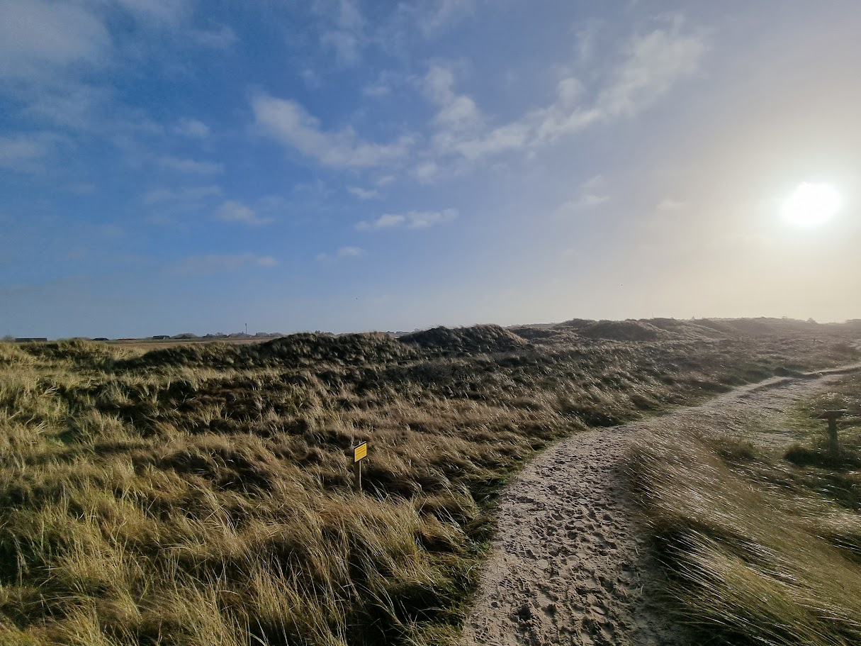 Zandpad door de duinen